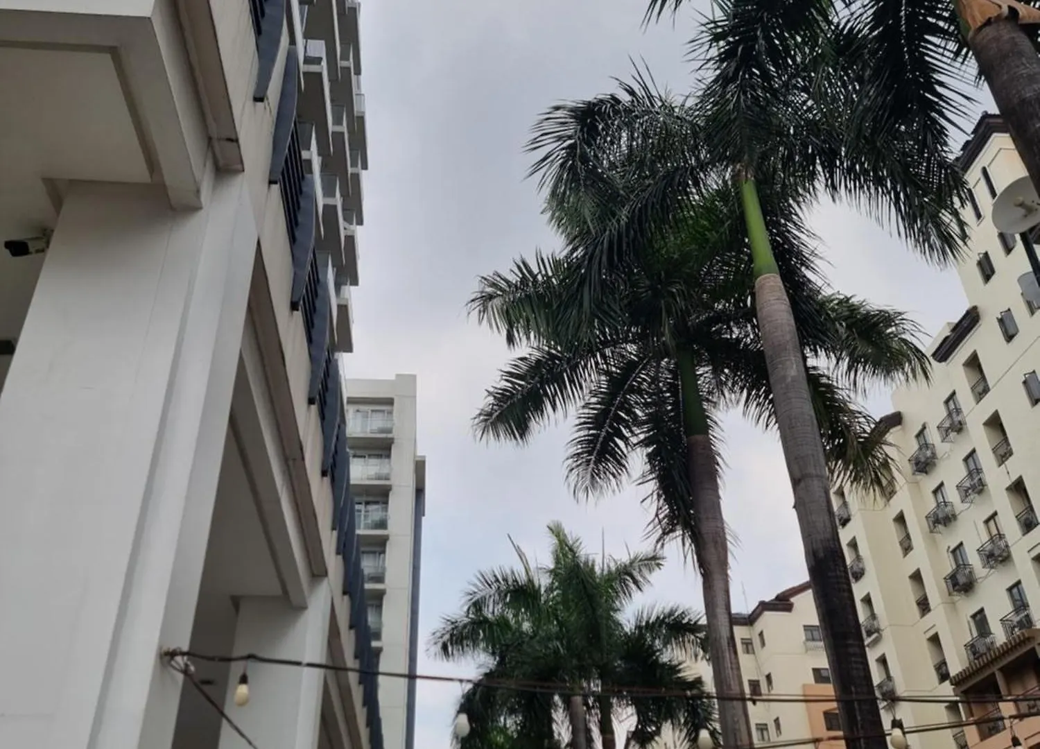 One Palm Tree Villas Manila